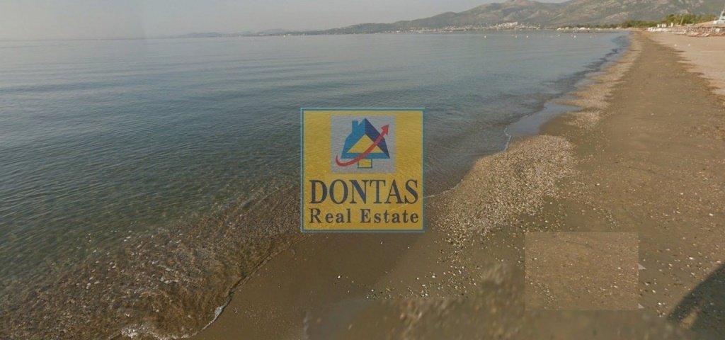 Land in Marathonas, Attica, Greece 5 - 16155632