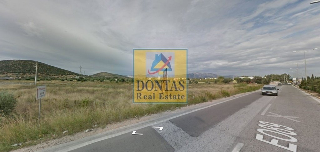 Land in Markopoulo Mesogaias, Attica, Greece 1 - 16155607