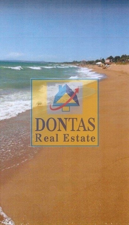 Land in Amaliada, Peloponnese, Western Greece and the Ionian, Greece 1 - 16156032