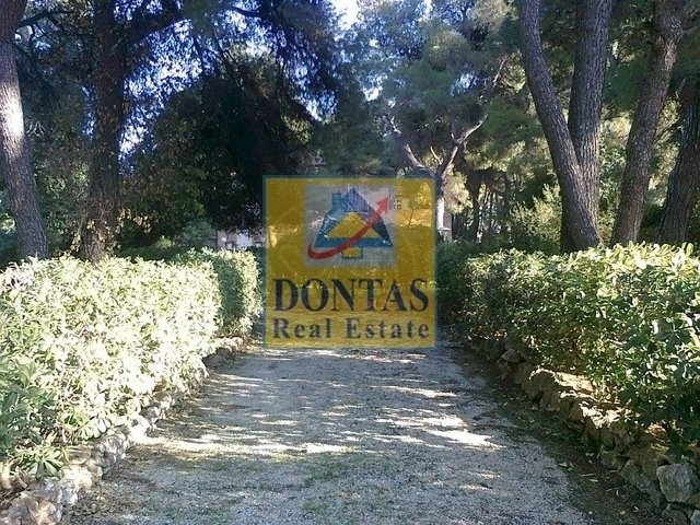Land in Ekali, Attica, Greece 4 - 16156023