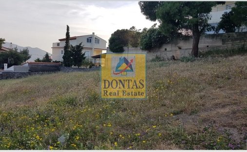 Land in Penteli, Attica, Greece 1