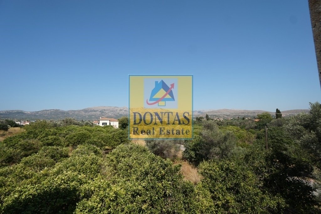 Land in Lakkopetras, Larissos, Peloponnese, Western Greece and the Ionian 3 - 16155650