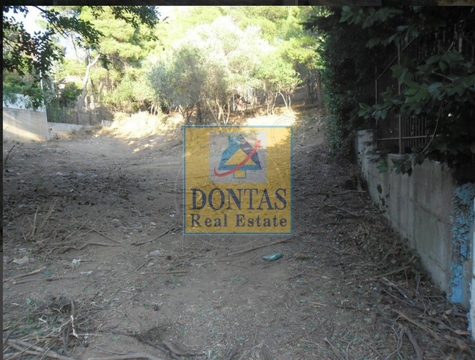 Land in Penteli, Attica, Greece 4 - 16155452
