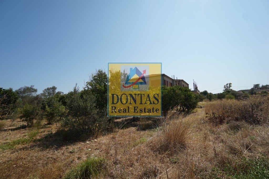 Land in Apokoronas, Greece 5 - 16155709