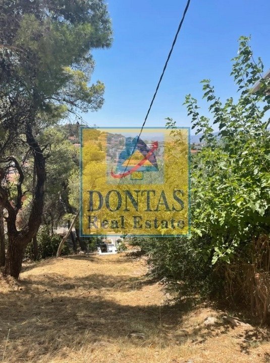 Land in Penteli, Attica, Greece 4 - 16156068