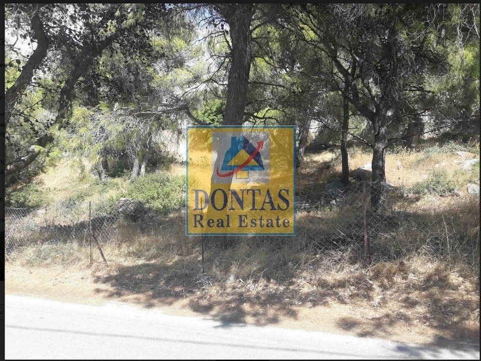 Land in Nea Penteli, Attica, Greece 2 - 16155546