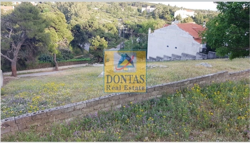 Land in Penteli, Attica, Greece 2 - 16155950