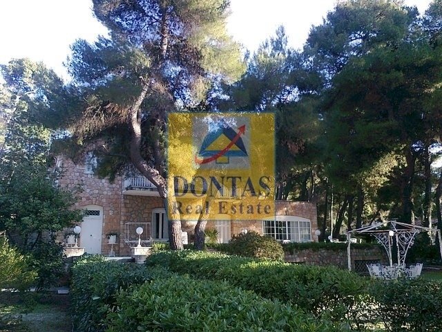 Land in Ekali, Attica, Greece 5 - 16156023