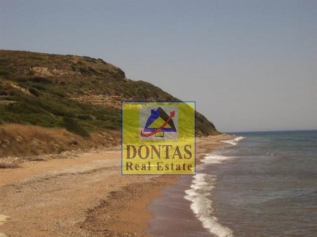 Land in Lakkopetras, Larissos, Peloponnese, Western Greece and the Ionian 2 - 16155612