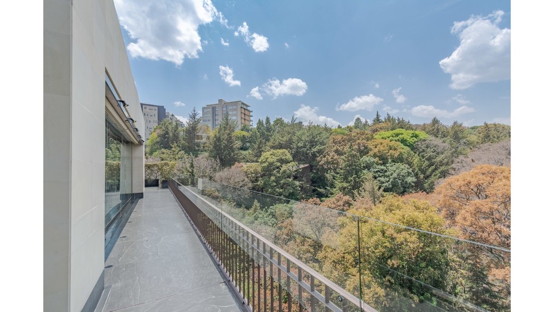 Mexico City, United States 2 - 16154502