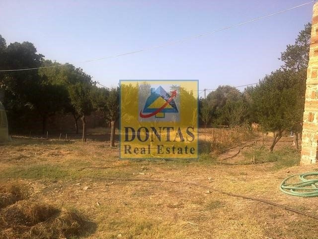 Land in Chios, Aegean, Greece 3 - 16155589