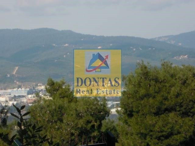 Land in Dionysos, Attica, Greece 3 - 16155541