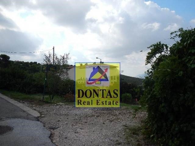 Land in Penteli, Attica, Greece 2 - 16155618
