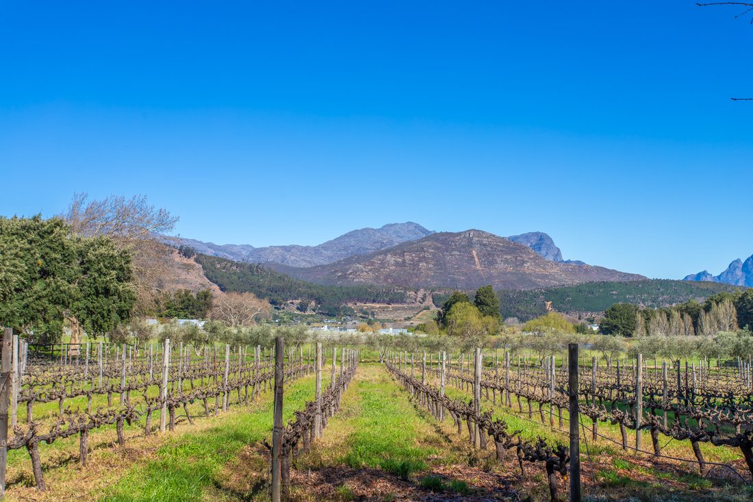 Estate in Franschhoek, Western Cape, South Africa 3 - 16152202