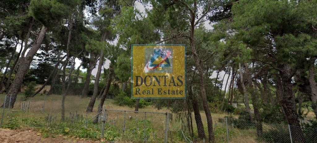 Land in Ekali, Attica, Greece 2 - 16155925