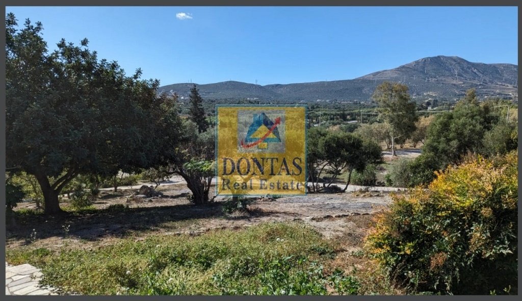 Land in Keratea, Attica, Greece 1 - 16155666