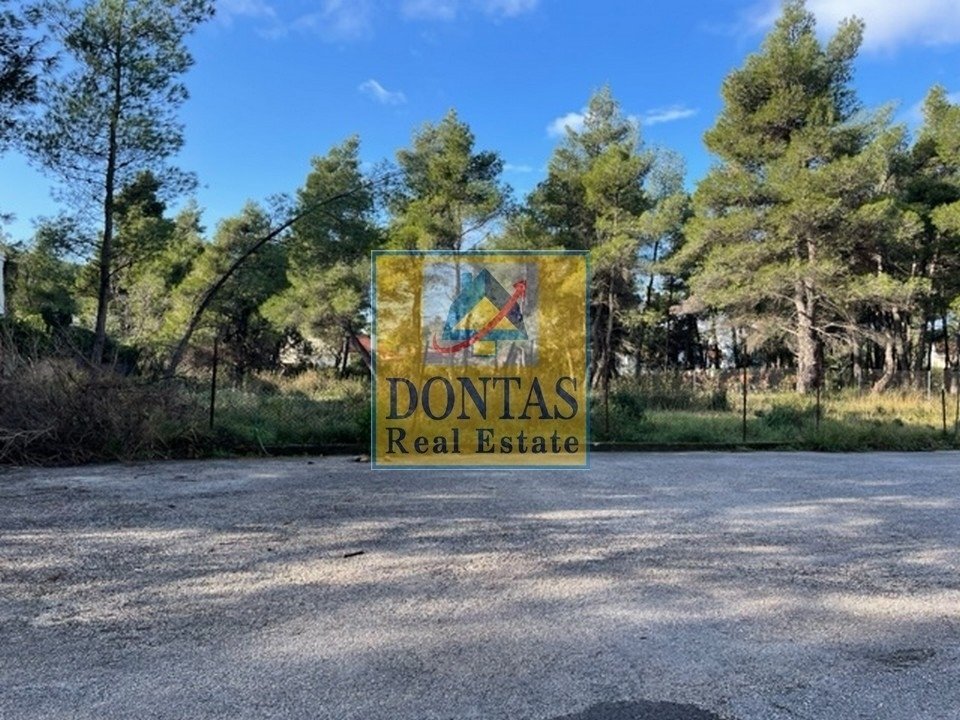 Land in Ekali, Attica, Greece 1 - 16155496