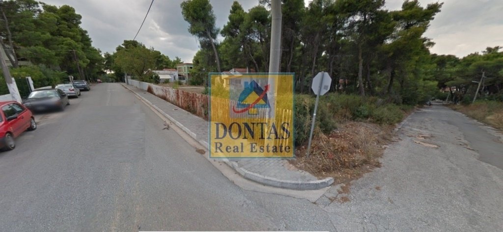 Land in Dionysos, Attica, Greece 3 - 16155853