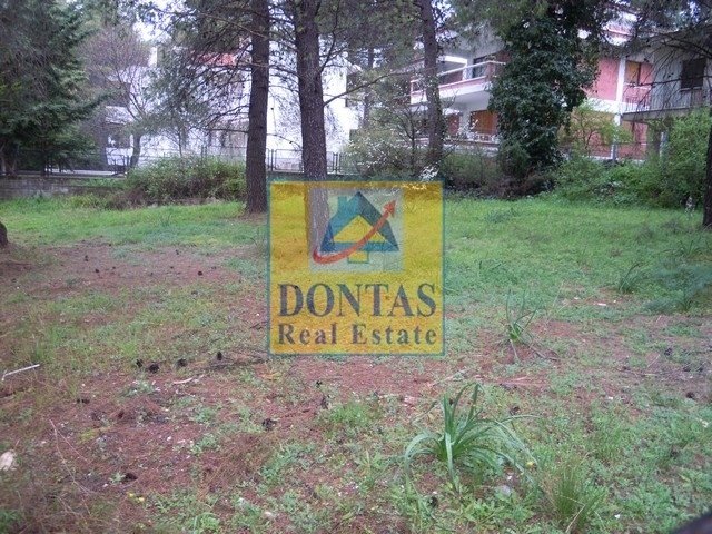 Land in Dionysos, Attica, Greece 4 - 16155456
