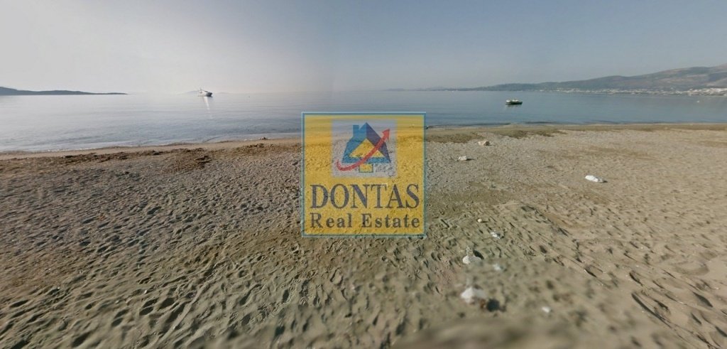 Land in Marathonas, Attica, Greece 1 - 16155632
