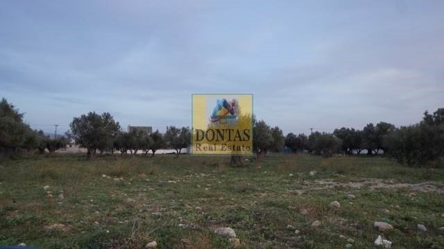 Land in Acharnes, Attica, Greece 4 - 16155940