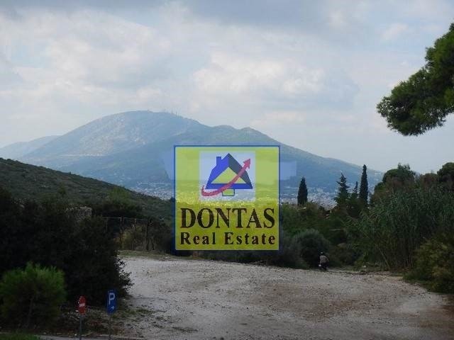 Land in Penteli, Attica, Greece 1 - 16155618