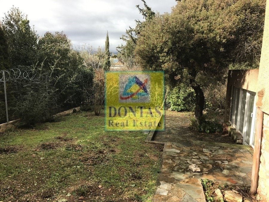 Land in Ekali, Attica, Greece 5 - 16155908