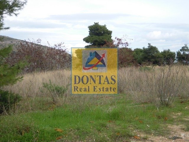Land in Dionysos, Attica, Greece 4 - 16155477