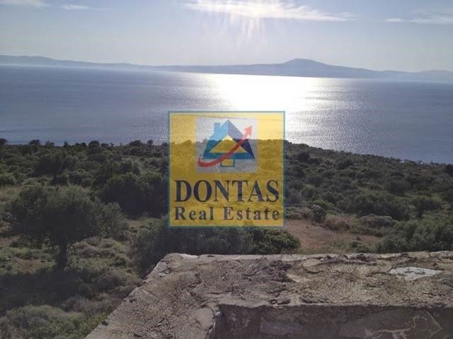 Land in Avia, Peloponnese, Western Greece and the Ionian, Greece 4 - 16155620