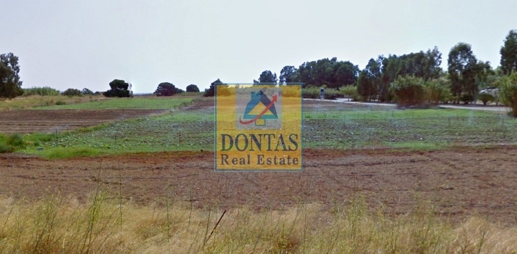 Land in Marathonas, Attica, Greece 2 - 16155632