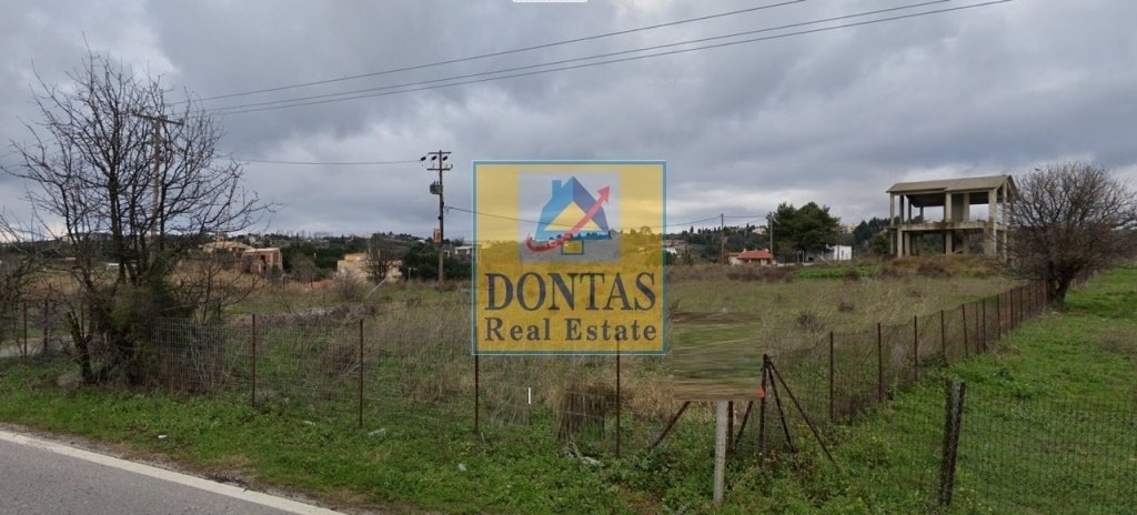 Land in Oropos, Attica, Greece 1 - 16155549