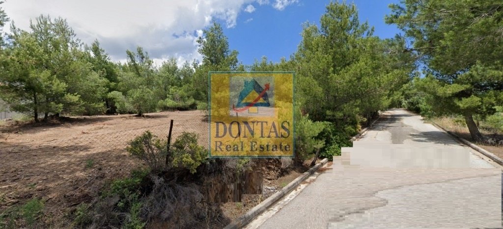 Land in Penteli, Attica, Greece 1 - 16155932