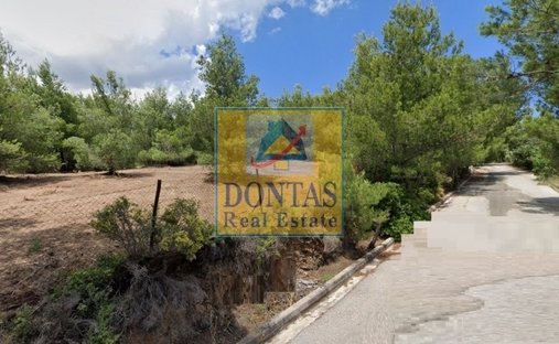 Land in Penteli, Attica, Greece 1
