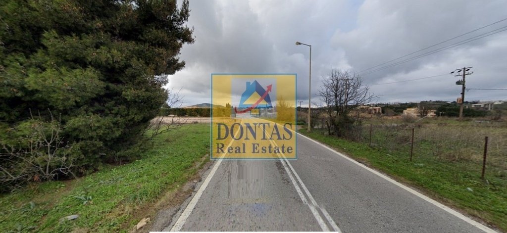 Land in Oropos, Attica, Greece 5 - 16155549