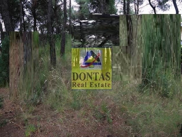 Land in Dionysos, Attica, Greece 5 - 16155911