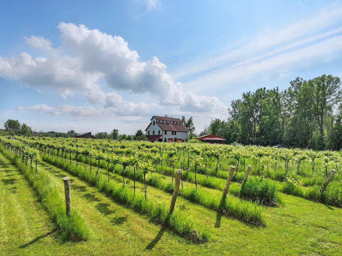 House in Isle La Motte, Vermont, United States 3 - 16152669