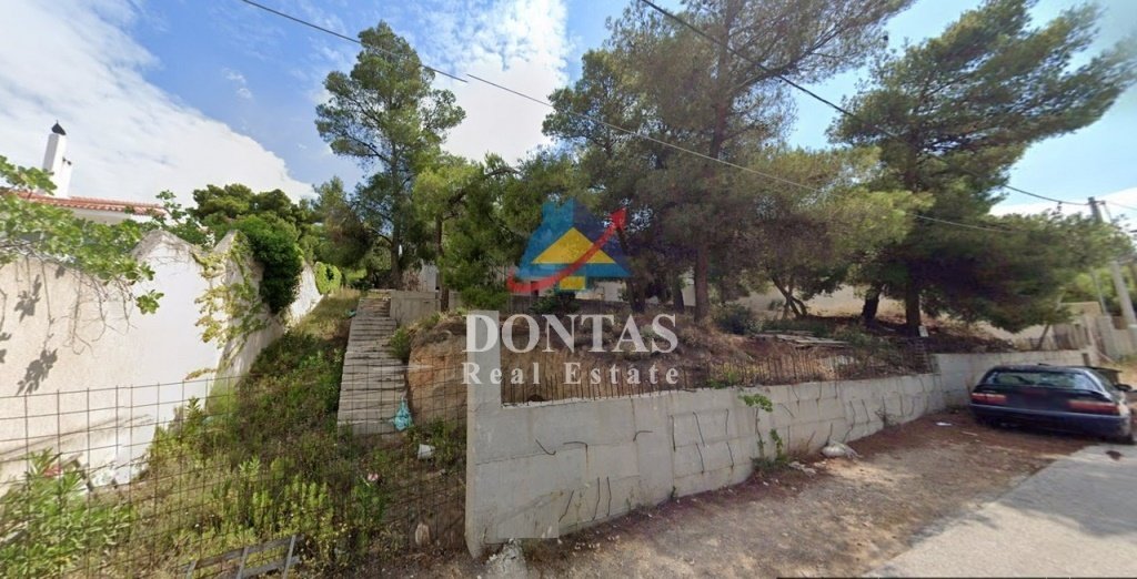 Land in Penteli, Attica, Greece 1 - 16155990