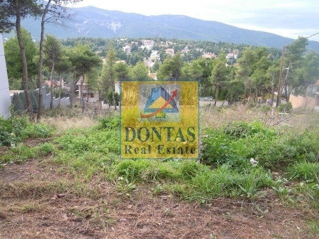 Land in Dionysos, Attica, Greece 2 - 16155737