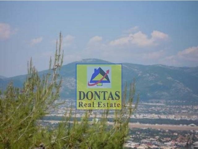 Land in Ekali, Attica, Greece 2 - 16155547