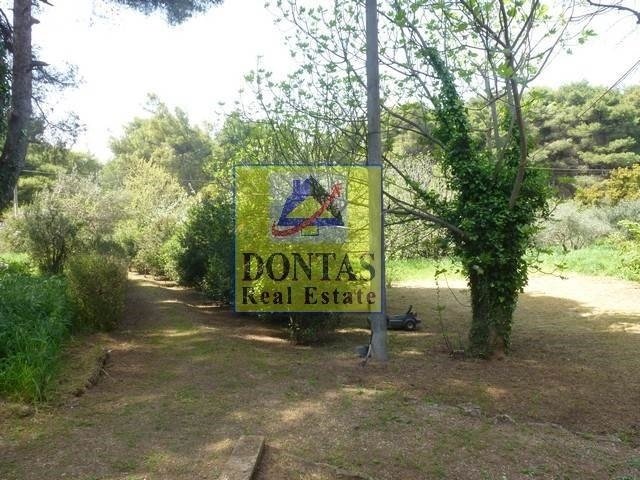 Land in Ekali, Attica, Greece 5 - 16155556