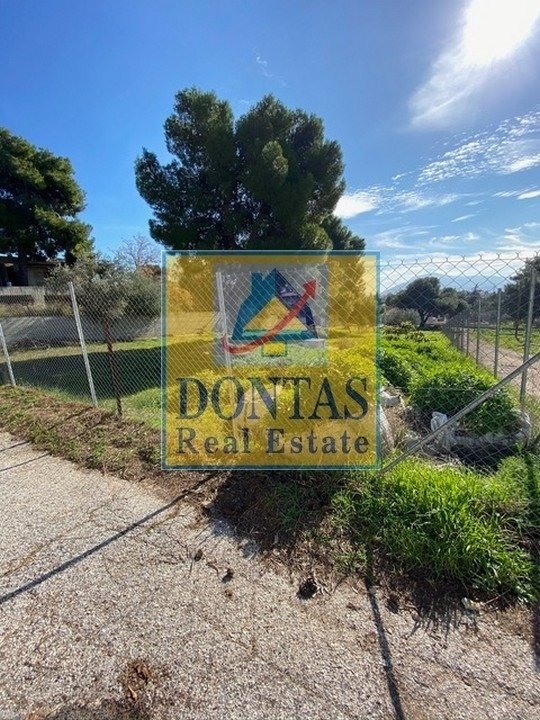 Land in Melissia, Attica, Greece 2 - 16155585
