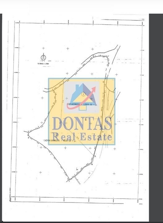 Land in Paros, Aegean, Greece 4 - 16155850