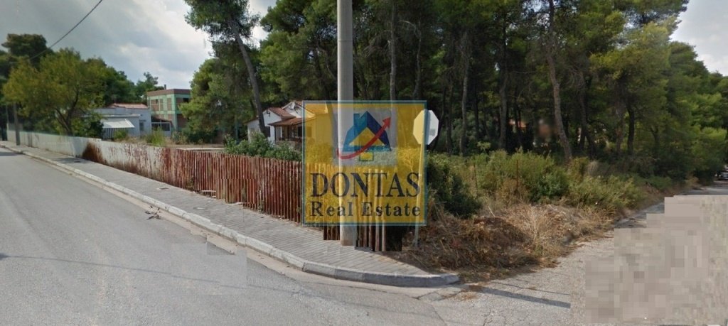 Land in Dionysos, Attica, Greece 5 - 16155853