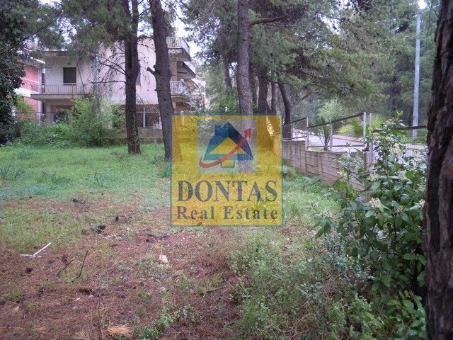 Land in Dionysos, Attica, Greece 1 - 16155456