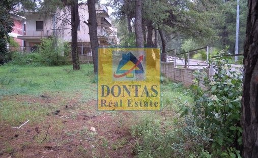 Land in Dionysos, Attica, Greece 1