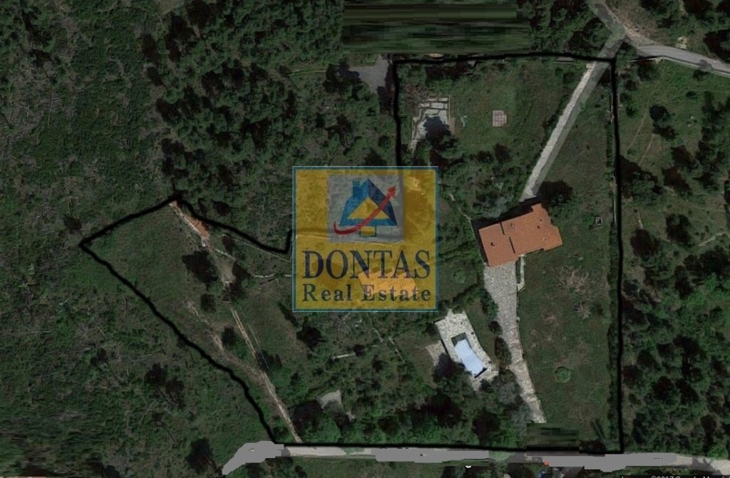 Land in Dionysos, Attica, Greece 2 - 16155919