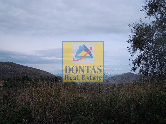 Land in Dionysos, Attica, Greece 2 - 16155477