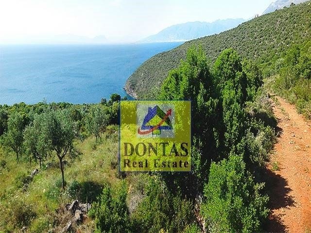Land in Avia, Peloponnese, Western Greece and the Ionian, Greece 2 - 16155620