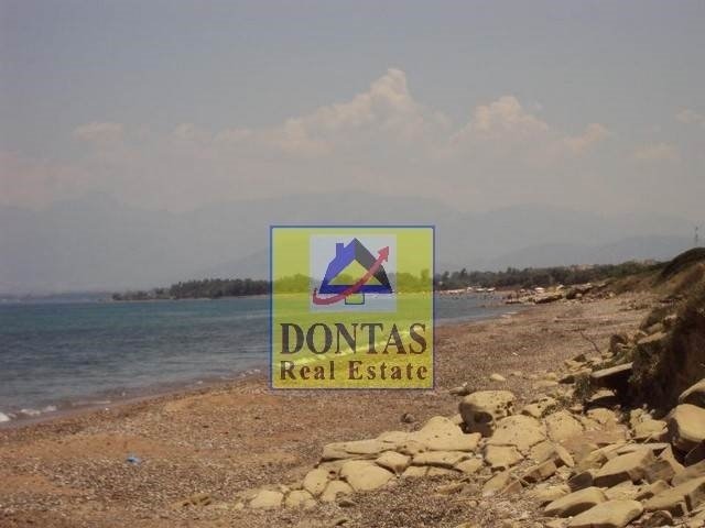 Land in Lakkopetras, Larissos, Peloponnese, Western Greece and the Ionian 3 - 16155612