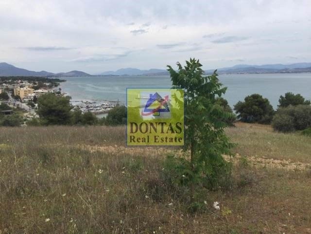 Land in Sximatariou, Thessaly and Central Greece, Greece 4 - 16155652
